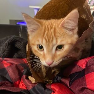 Meet your Posher, Nakita